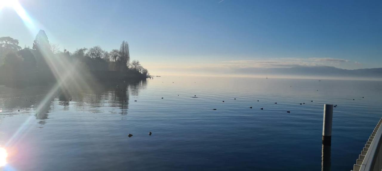 L'Orthogo Daire Thonon-les-Bains Dış mekan fotoğraf